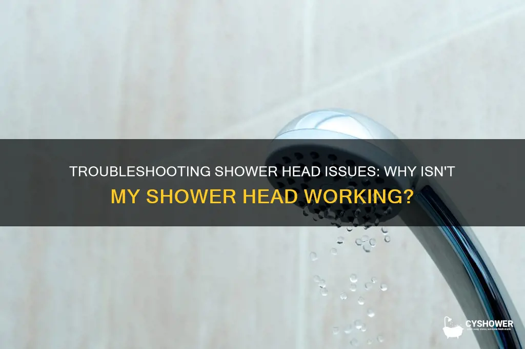 why doesn