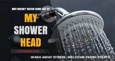 Why Your Shower Head Isn't Working: Common Causes and Fixes