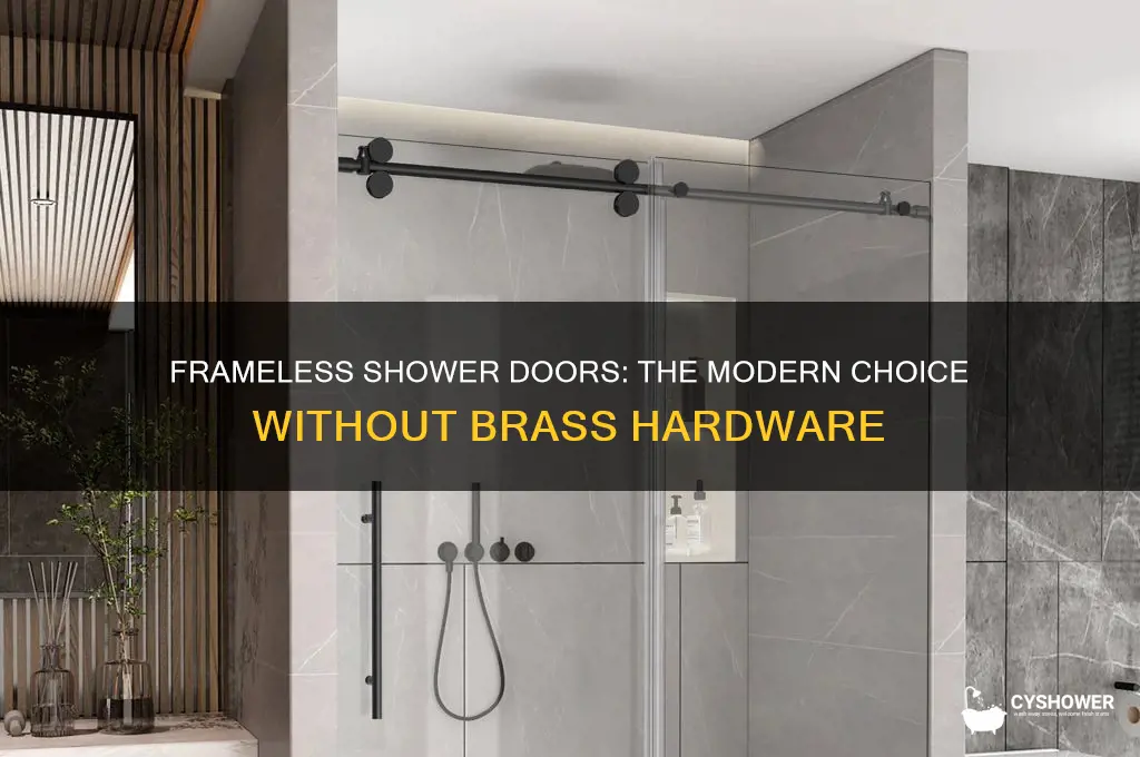 why frameless shower door has no brass hardware