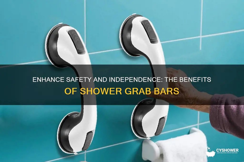 why get a shower grab bar