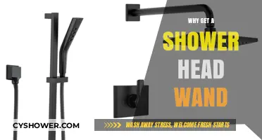 Upgrade Your Shower Experience: Benefits of a Shower Head Wand