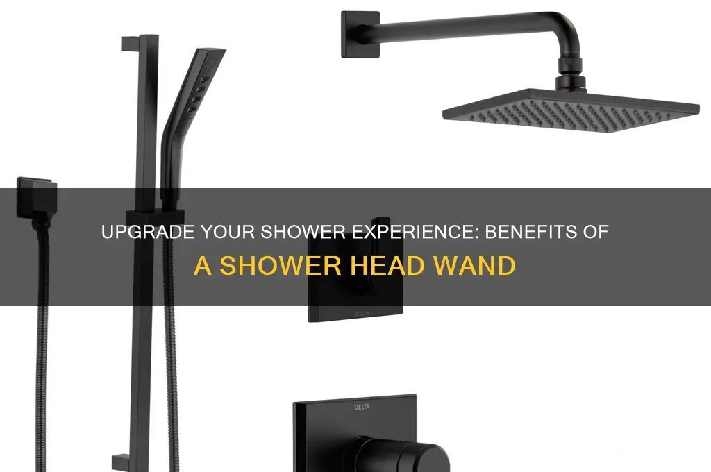 why get a shower head wand