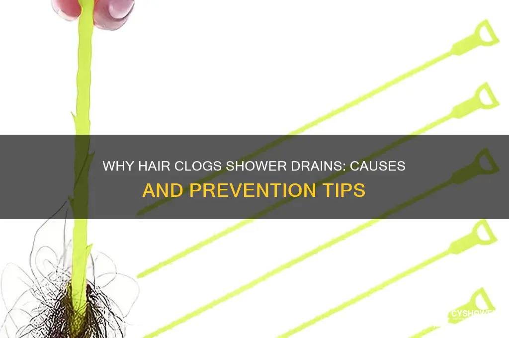 why hair gets stuck in shower pipes
