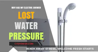 Why Has My Electric Shower Lost Water Pressure? Troubleshooting Tips