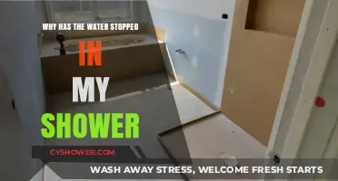 Shower Water Stopped? Troubleshooting Common Causes and Quick Fixes