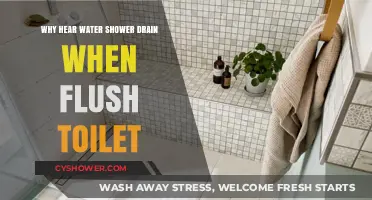 Why Do You Hear Water in the Shower Drain When Flushing the Toilet?