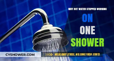 Why Your Shower's Hot Water Suddenly Stopped Working: Quick Fixes