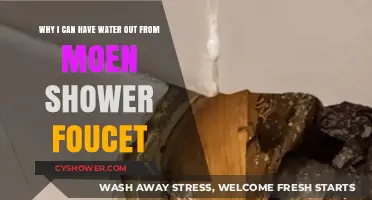 Why I Can't Get Water Out of My Moen Shower Faucet: Troubleshooting Tips