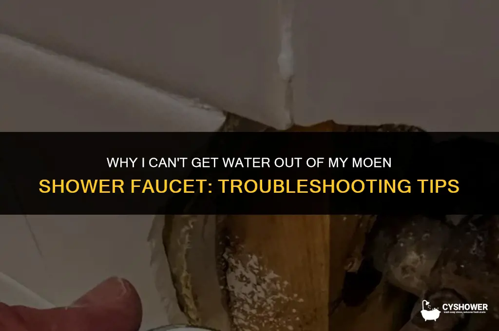 why i can have water out from moen shower foucet