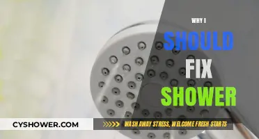 Fix Your Shower Now: Avoid Costly Repairs and Water Waste