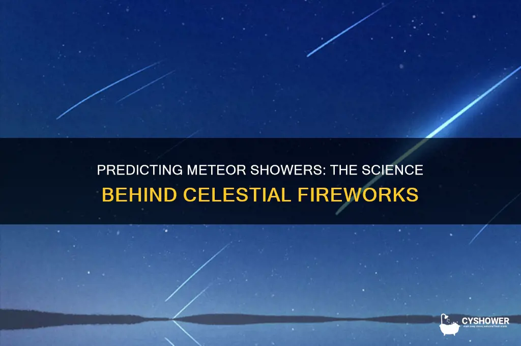 why is a meteor shower predictable