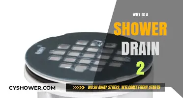 Understanding the Purpose of a 2-Inch Shower Drain: A Guide