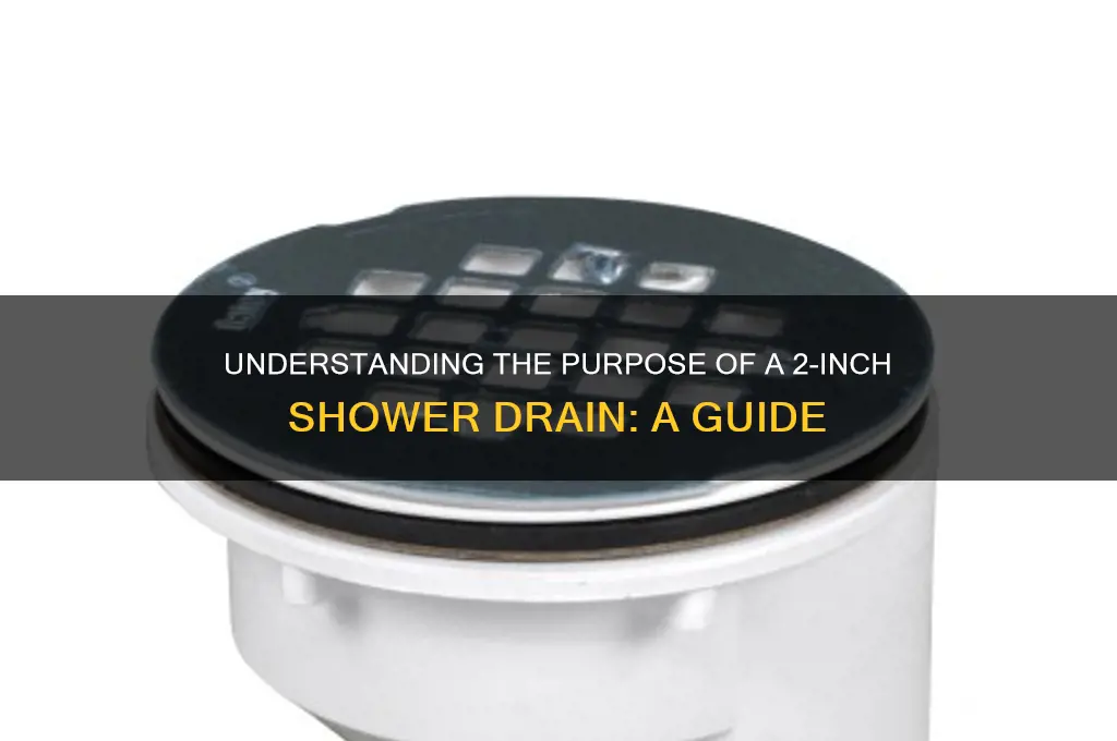 why is a shower drain 2
