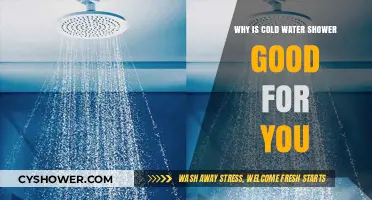 Cold Showers: Unlocking Health Benefits for Mind and Body