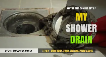 Dirt in Shower Drain? Causes and Quick Fixes Explained