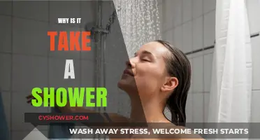 Refreshing Reasons Why Taking a Shower Boosts Your Health and Mood