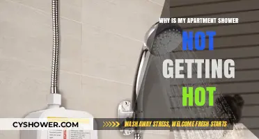 Why Your Apartment Shower Isn't Heating Up: Common Causes & Fixes