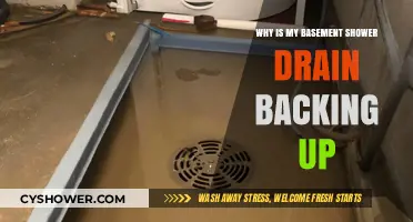 Basement Shower Drain Backup: Causes, Solutions, and Prevention Tips
