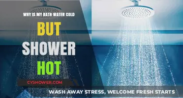 Cold Bath, Hot Shower: Troubleshooting Your Water Temperature Issues