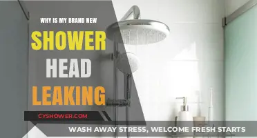 Brand New Shower Head Leaking? Here’s Why and How to Fix It