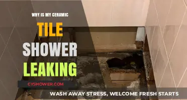 Why Your Ceramic Tile Shower is Leaking: Common Causes & Fixes