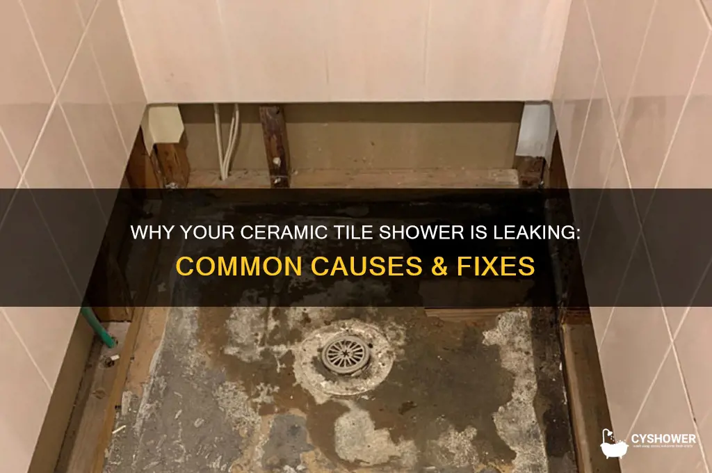 why is my ceramic tile shower leaking