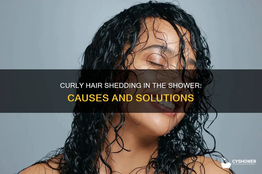 why is my curly hair falling out in the shower
