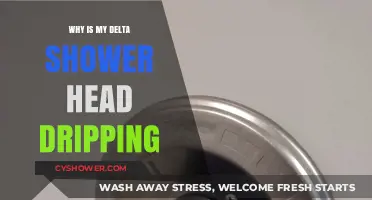 Why Your Delta Shower Head is Dripping: Causes and Fixes