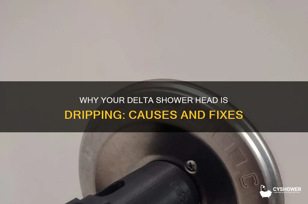 why is my delta shower head dripping