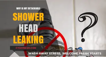 Fixing a Leaky Detachable Shower Head: Causes and Solutions
