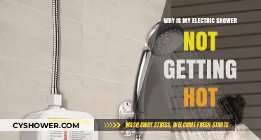 Troubleshooting Your Electric Shower: Why It's Not Heating Up