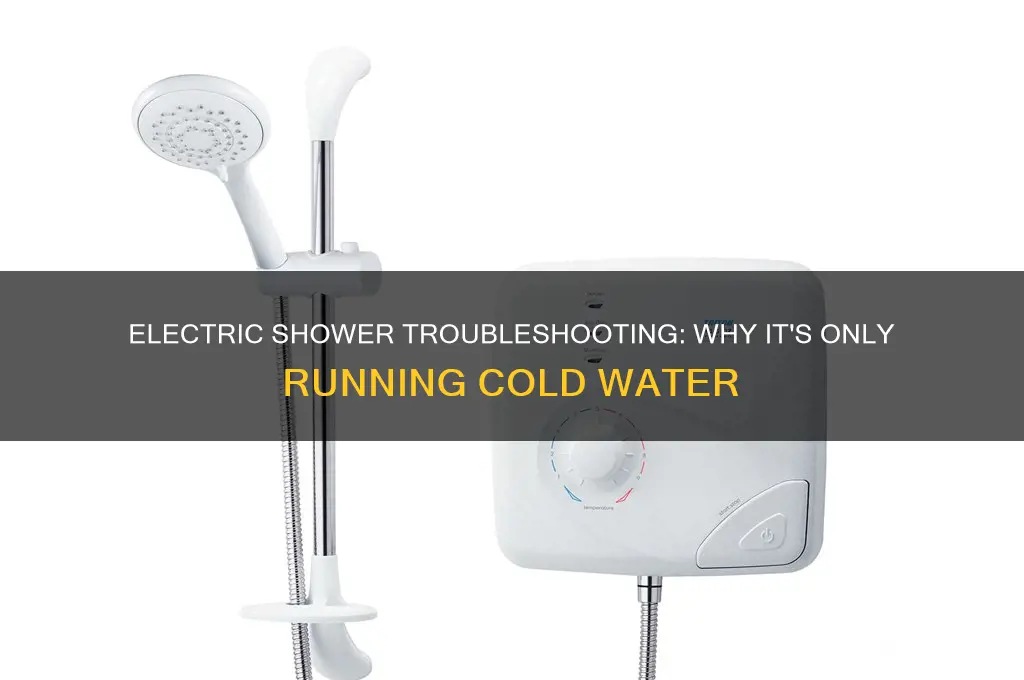 why is my electric shower only running cold water