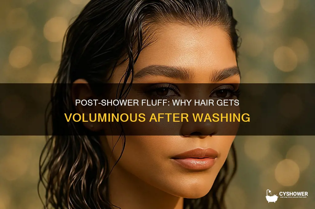 why is my hair fluffy after a shower