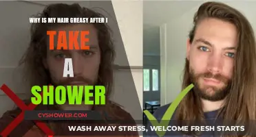 Post-Shower Greasy Hair: Causes and Solutions for Oily Strands