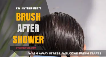 Post-Shower Hair Struggles: Why Brushing Wet Hair is a Challenge