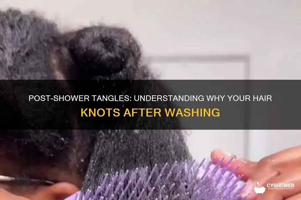why is my hair so knotty after a shower