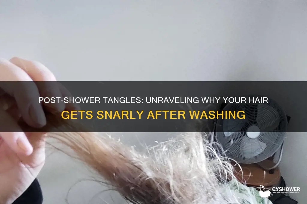 why is my hair so snarly after i shower