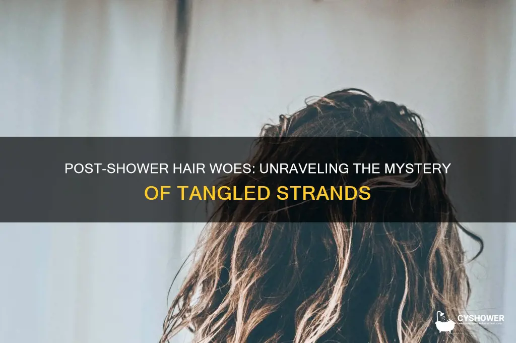 why is my hair so tangled after shower