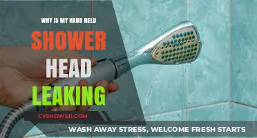 Handheld Shower Head Leaking? Common Causes and Quick Fixes