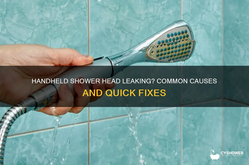why is my hand held shower head leaking