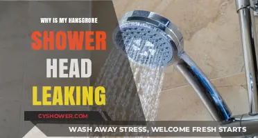 Troubleshooting a Leaky Hansgrohe Shower Head: Causes and Fixes