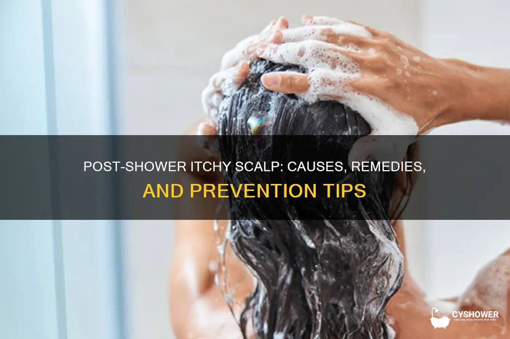 why is my head itchy after shower