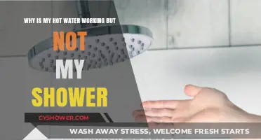 Hot Water Works, Shower Doesn't: Troubleshooting Common Plumbing Issues