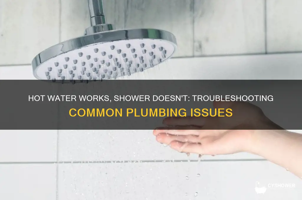 why is my hot water working but not my shower