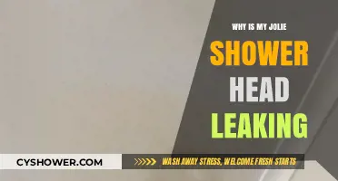 Troubleshooting a Leaky Jolie Shower Head: Causes and Quick Fixes