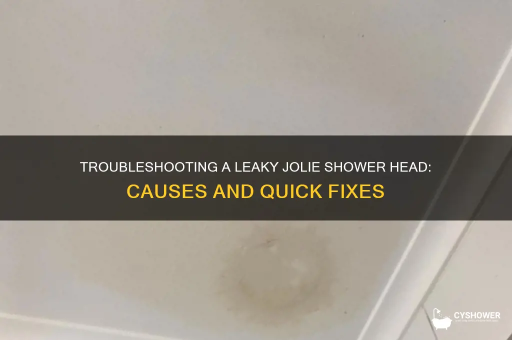 why is my jolie shower head leaking