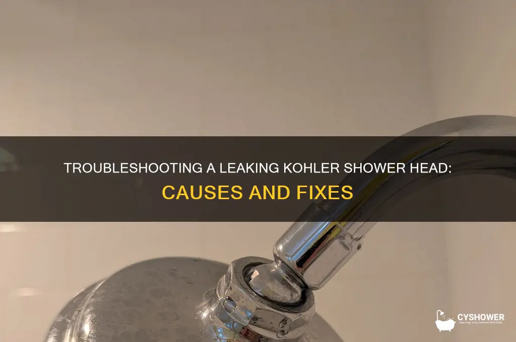 why is my kohler shower head leaking
