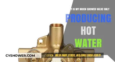 Troubleshooting Moen Shower Valve: Why Only Hot Water Flows?