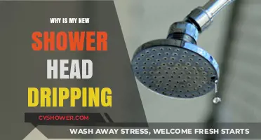 Why Your New Shower Head is Dripping: Common Causes and Fixes