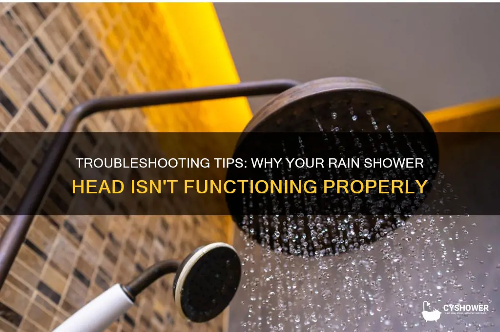 why is my rain shower head not working